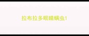 拉布拉多眼睛螨虫
