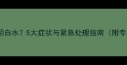 哈士奇呕吐透明白水5大症状与紧急处理指南附专业兽医建议