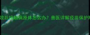 犬细小病毒疫苗失效后接触病原体怎么办兽医详解疫苗保护期与应急处理指南