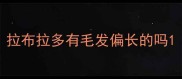 拉布拉多有毛发偏长的吗