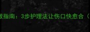 宠物狗咬伤急救指南3步护理法让伤口快愈合附真实案例