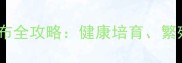 拉布拉多种公犬阿布全攻略健康培育繁殖指南与饲养技巧