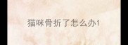 猫咪骨折了怎么办