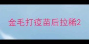 金毛打疫苗后拉稀