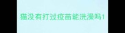 猫没有打过疫苗能洗澡吗