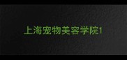 上海宠物美容学院