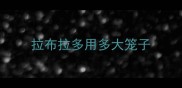 拉布拉多用多大笼子