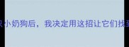 狗狗生下四只小奶狗后我决定用这招让它们找到新家