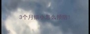 3个月细小怎么预防