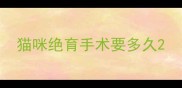 猫咪绝育手术要多久