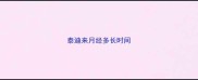泰迪来月经多长时间