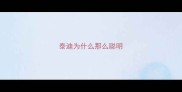 泰迪为什么那么聪明