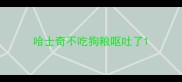 哈士奇不吃狗粮呕吐了