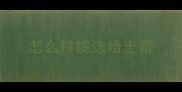 怎么样挑选哈士奇