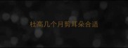 杜高几个月剪耳朵合适