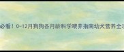 新手必看0-12月狗狗各月龄科学喂养指南幼犬营养全攻略