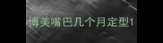博美嘴巴几个月定型