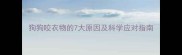 狗狗咬衣物的7大原因及科学应对指南