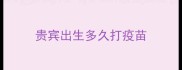 贵宾出生多久打疫苗