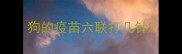 狗的疫苗六联打几针
