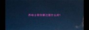 养哈士奇你要注意什么好