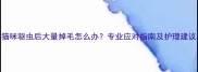 猫咪驱虫后大量掉毛怎么办专业应对指南及护理建议
