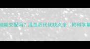 比熊和泰迪能交配吗混血后代优缺点全附科学繁殖指南