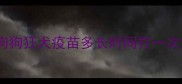 狗狗狂犬疫苗多长时间打一次