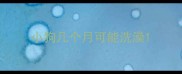 小狗几个月可能洗澡