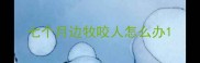 七个月边牧咬人怎么办