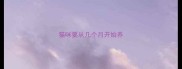 猫咪要从几个月开始养