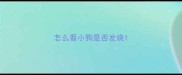 怎么看小狗是否发烧