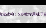旧袜子秒变萌宠战袍5步教你用袜子制作狗狗衣服