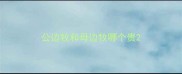 公边牧和母边牧哪个贵