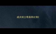 成犬哈士奇身高比例