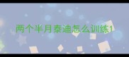 两个半月泰迪怎么训练