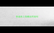泰迪身上有螨虫传染吗