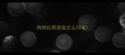 狗狗拉黑便是怎么回事