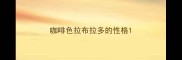 咖啡色拉布拉多的性格