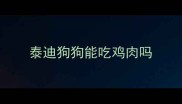 泰迪狗狗能吃鸡肉吗