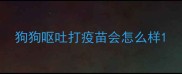 狗狗呕吐打疫苗会怎么样