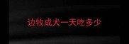 边牧成犬一天吃多少