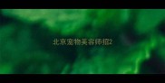 北京宠物美容师招