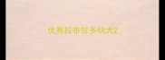 优秀拉布拉多幼犬