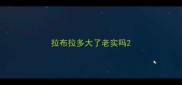 拉布拉多大了老实吗