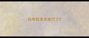 拉布拉多犬舍尺寸