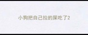 小狗把自己拉的屎吃了