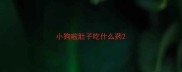 小狗啦肚子吃什么药