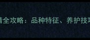 小拉布拉多蓝眼睛全攻略品种特征养护技巧与常见健康问题