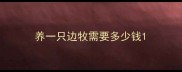 养一只边牧需要多少钱